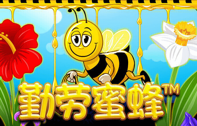 多米体育平台app